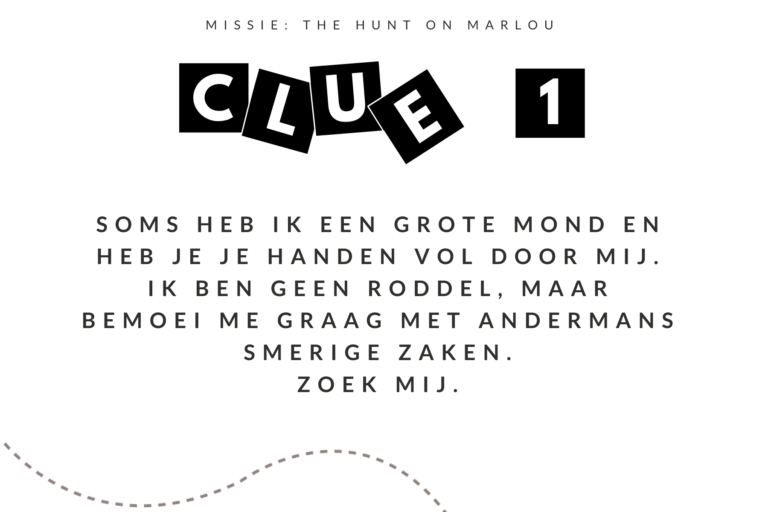 Birthday surprise: waar is wally in real life