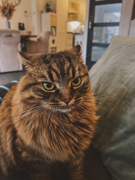 Irritaties die iedereen herkent