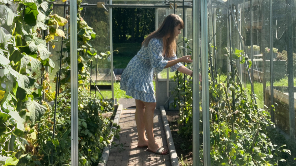 Moestuinieren als beginner in de kas en tuin van mijn ouders