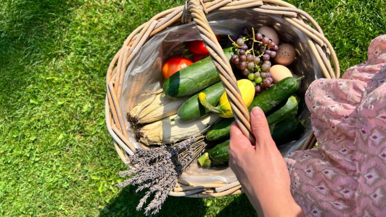 Moestuinieren als beginner in een rijtjeswoning