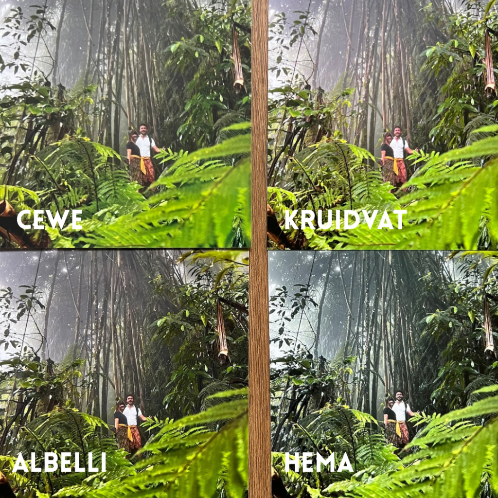 Foto's vergelijken voor beste kwaliteit HEMA, Albelli, Kruidvat of CEWE